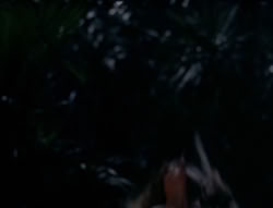 extant_XenaWarriorPrincess_5x03_Succession_1140