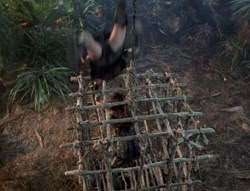 extant_XenaWarriorPrincess_5x03_Succession_1679