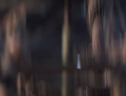 extant_XenaWarriorPrincess_5x03_Succession_1681