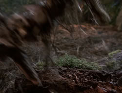 extant_XenaWarriorPrincess_5x03_Succession_1684