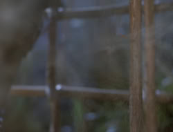 extant_XenaWarriorPrincess_5x03_Succession_1688