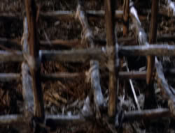 extant_XenaWarriorPrincess_5x03_Succession_1694