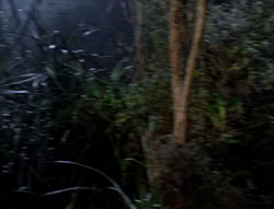 extant_XenaWarriorPrincess_5x03_Succession_1701