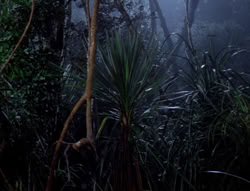 extant_XenaWarriorPrincess_5x03_Succession_1702