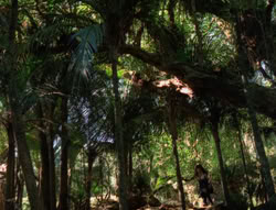 extant_XenaWarriorPrincess_5x03_Succession_1724