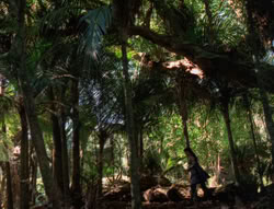 extant_XenaWarriorPrincess_5x03_Succession_1725