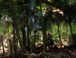 extant_XenaWarriorPrincess_5x03_Succession_1726