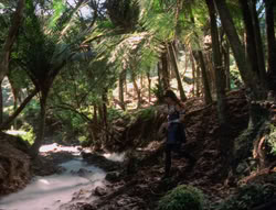 extant_XenaWarriorPrincess_5x03_Succession_1732
