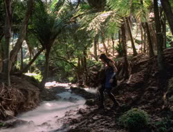 extant_XenaWarriorPrincess_5x03_Succession_1733