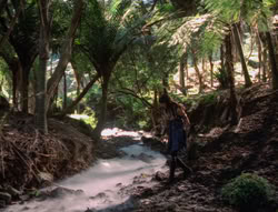 extant_XenaWarriorPrincess_5x03_Succession_1734