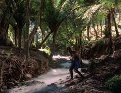 extant_XenaWarriorPrincess_5x03_Succession_1735