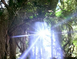 extant_XenaWarriorPrincess_5x03_Succession_1769