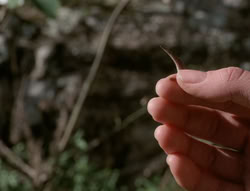 extant_XenaWarriorPrincess_5x03_Succession_1932