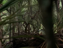 extant_XenaWarriorPrincess_5x03_Succession_1937