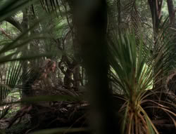 extant_XenaWarriorPrincess_5x03_Succession_1938