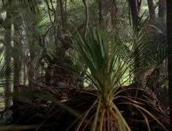 extant_XenaWarriorPrincess_5x03_Succession_1939
