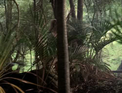 extant_XenaWarriorPrincess_5x03_Succession_1942