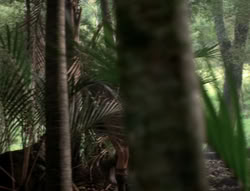 extant_XenaWarriorPrincess_5x03_Succession_1943