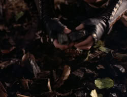 extant_XenaWarriorPrincess_5x03_Succession_1967