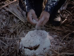 extant_XenaWarriorPrincess_5x03_Succession_1996
