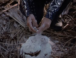 extant_XenaWarriorPrincess_5x03_Succession_1997