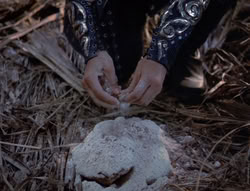 extant_XenaWarriorPrincess_5x03_Succession_1998