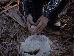 extant_XenaWarriorPrincess_5x03_Succession_1999
