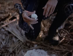 extant_XenaWarriorPrincess_5x03_Succession_2000