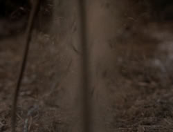 extant_XenaWarriorPrincess_5x03_Succession_2120