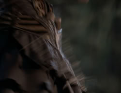 extant_XenaWarriorPrincess_5x03_Succession_2123