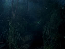 extant_XenaWarriorPrincess_5x03_Succession_2193