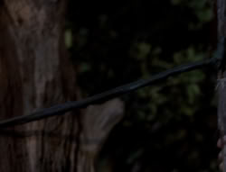 extant_XenaWarriorPrincess_5x03_Succession_2261