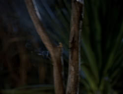 extant_XenaWarriorPrincess_5x03_Succession_2263