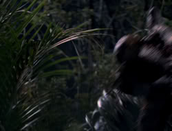 extant_XenaWarriorPrincess_5x03_Succession_2273