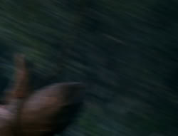 extant_XenaWarriorPrincess_5x03_Succession_2274