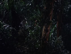 extant_XenaWarriorPrincess_5x03_Succession_2311