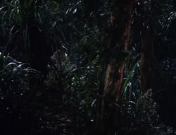 extant_XenaWarriorPrincess_5x03_Succession_2312
