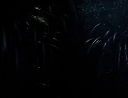 extant_XenaWarriorPrincess_5x03_Succession_2434
