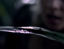 extant_XenaWarriorPrincess_5x03_Succession_2483
