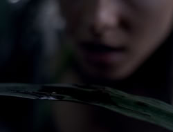 extant_XenaWarriorPrincess_5x03_Succession_2485