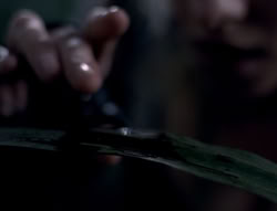 extant_XenaWarriorPrincess_5x03_Succession_2486