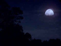 extant_XenaWarriorPrincess_5x03_Succession_2492