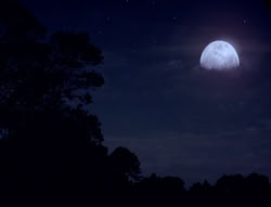 extant_XenaWarriorPrincess_5x03_Succession_2494