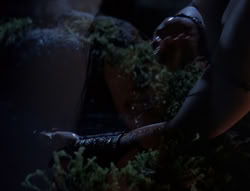 extant_XenaWarriorPrincess_5x03_Succession_2598