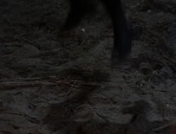 extant_XenaWarriorPrincess_5x03_Succession_2903
