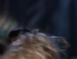 extant_XenaWarriorPrincess_5x03_Succession_3100