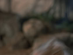 extant_XenaWarriorPrincess_5x03_Succession_3122