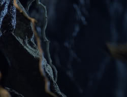 extant_XenaWarriorPrincess_5x03_Succession_3125