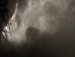extant_XenaWarriorPrincess_5x03_Succession_3143
