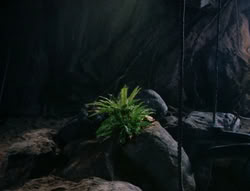 extant_XenaWarriorPrincess_5x03_Succession_3223